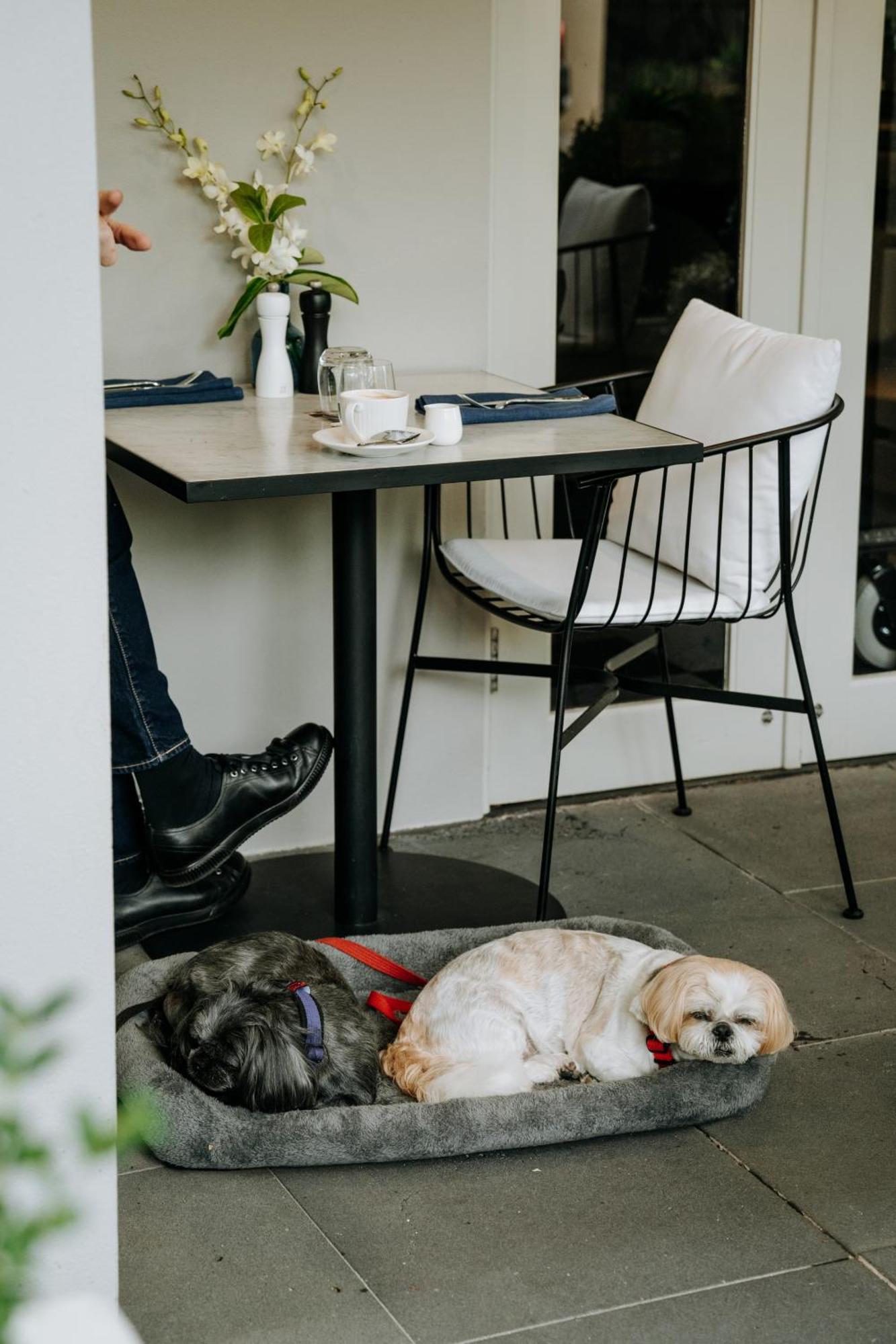 The Lyall Melbourne Zewnętrze zdjęcie